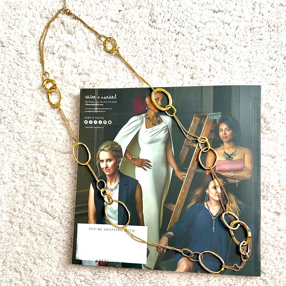 Chloe + Isabel Long Organic Link + Chain Necklace